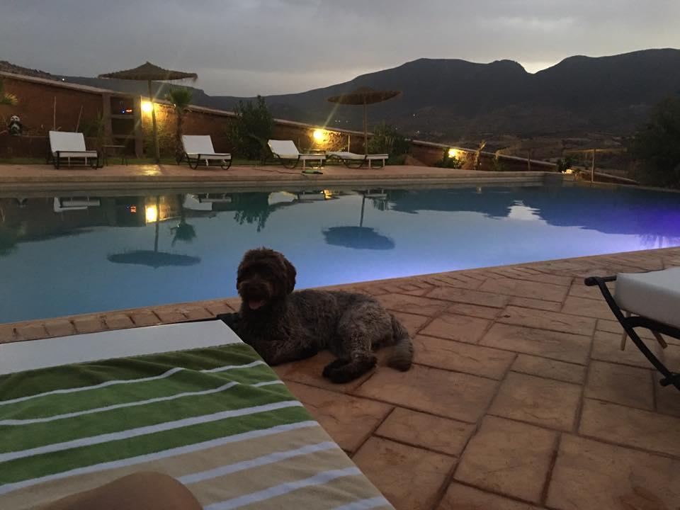 Palais D'Ouzoud Hotell Azilal Eksteriør bilde